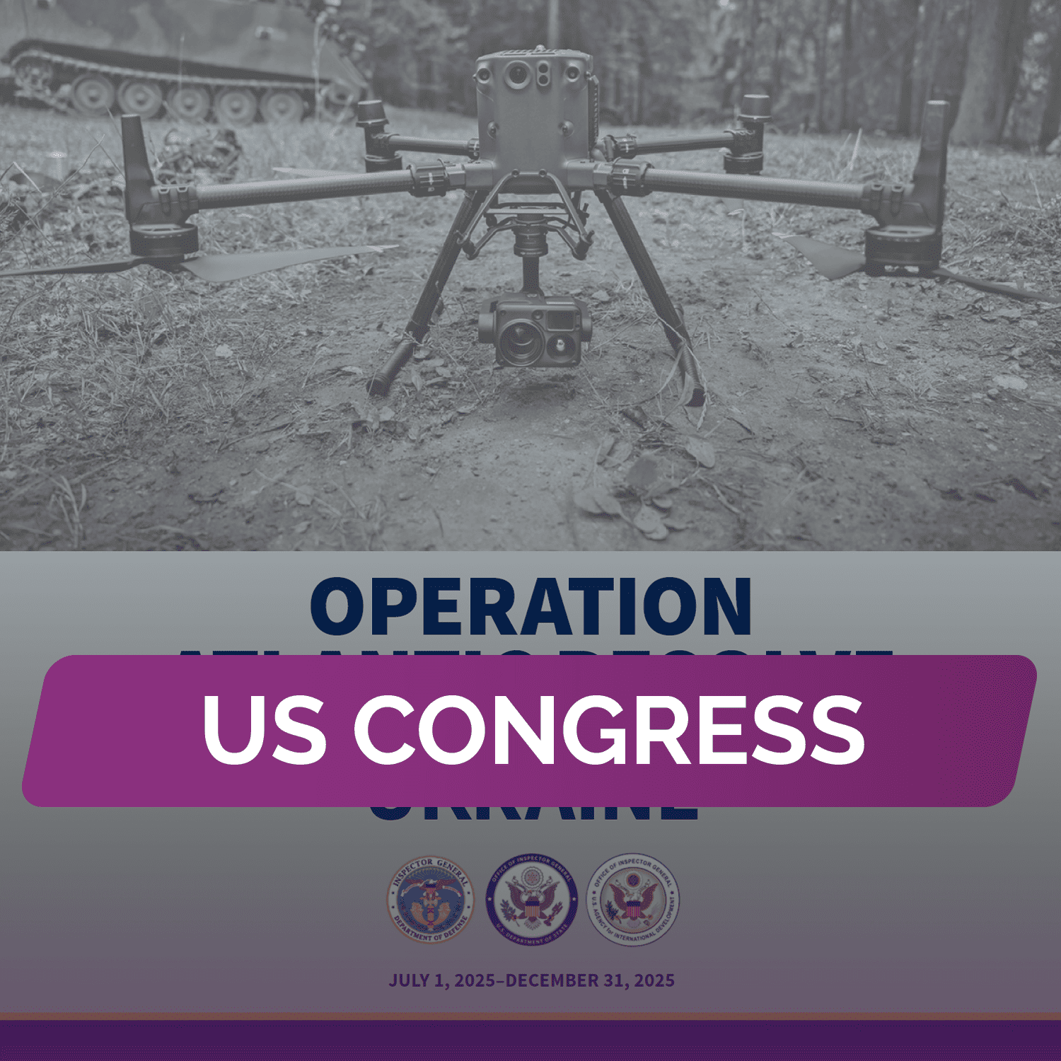 Отчет Конгрессу США: Операция «Атлантическая решительность»